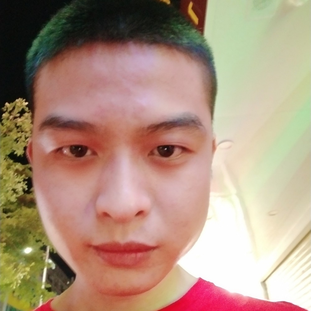 大道中柳的照片