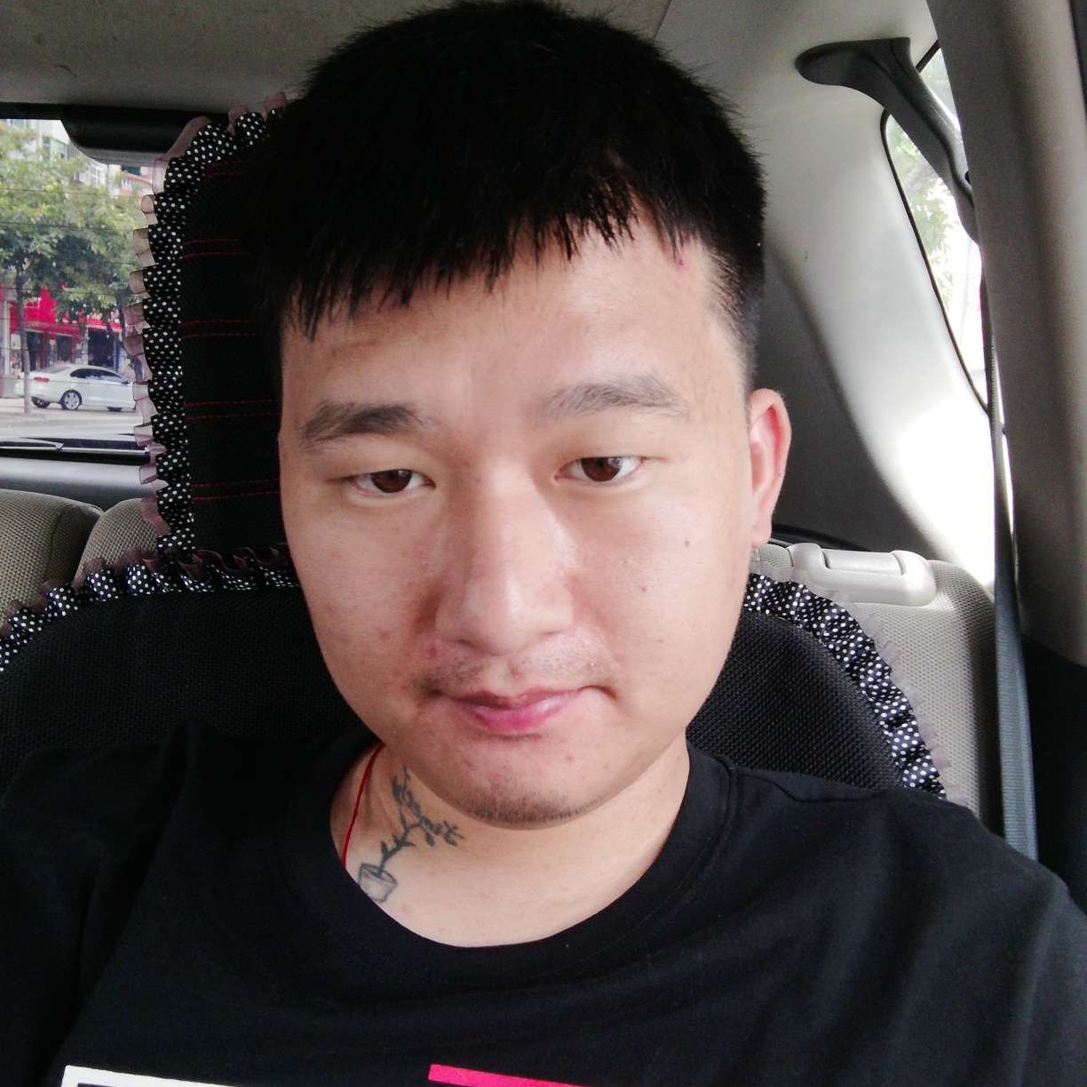 老鼠爱义气的照片