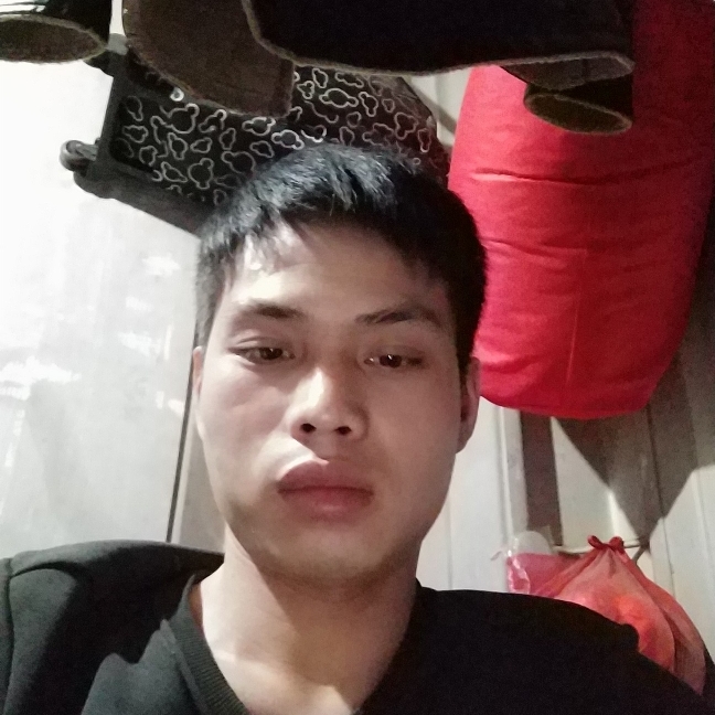 糊涂保卫洋葱的照片