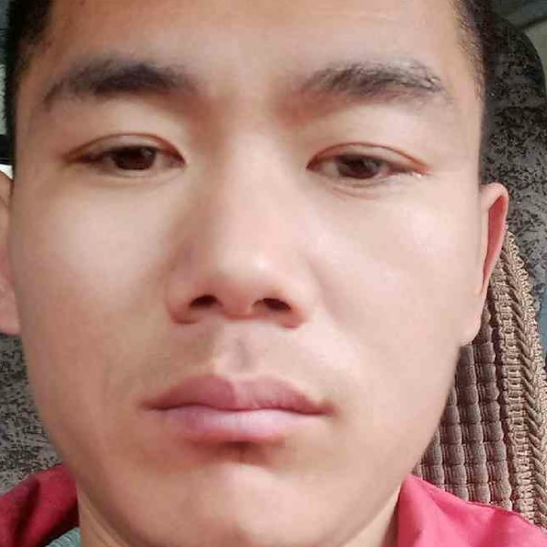矮小多么小猫咪的照片
