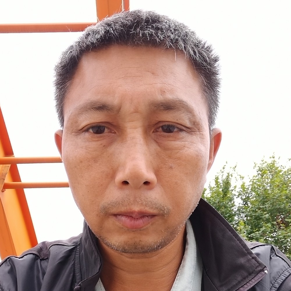 真心寻找你2020的照片