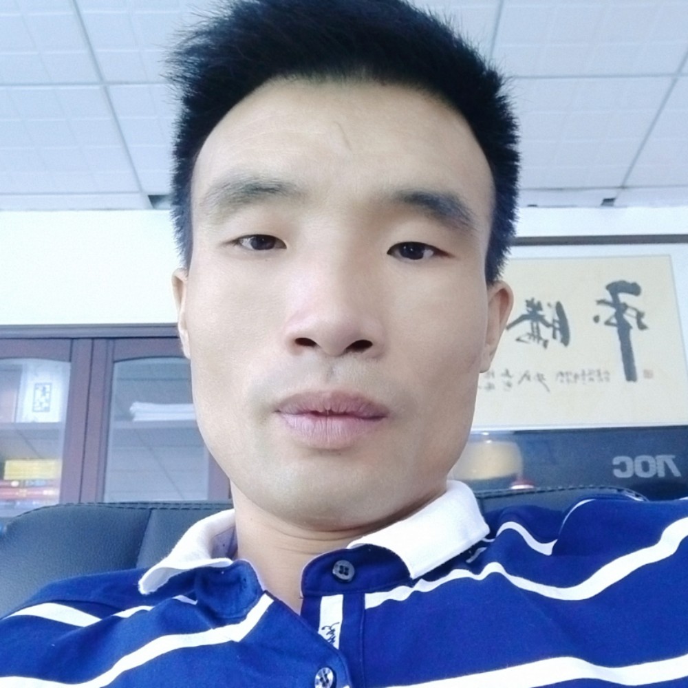 白猫和平淡的照片