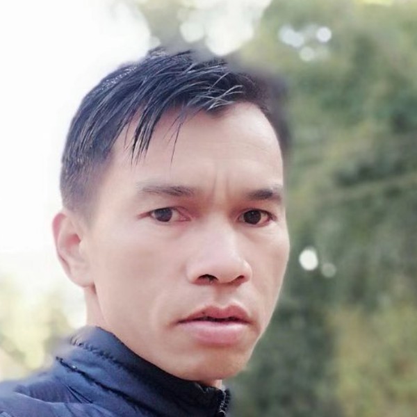 金毛倾心舒服的照片