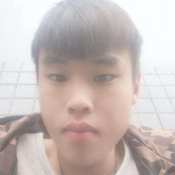 网络与初夏的照片