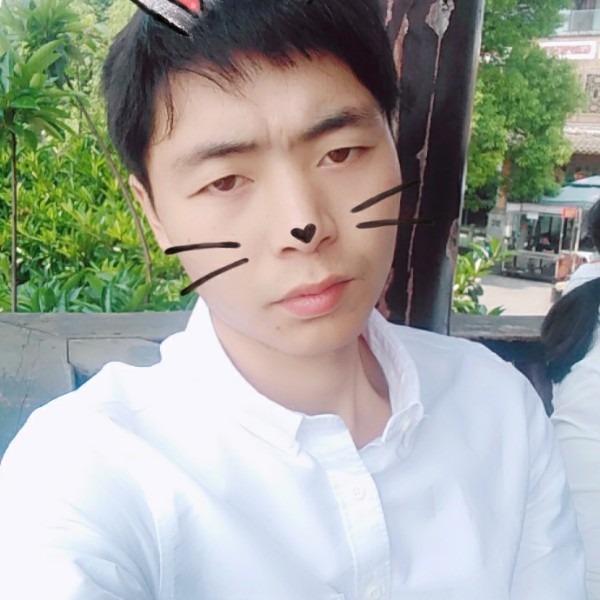 不会飞的笨鱼的照片