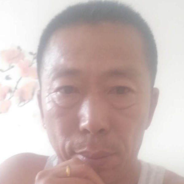 飞鸟直率的照片