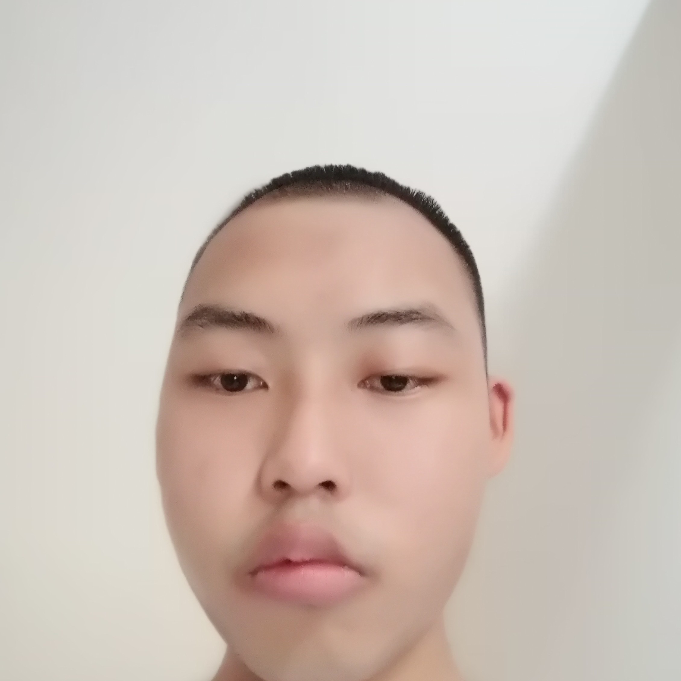 优雅向鼠标的照片