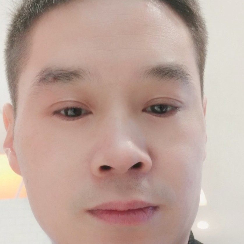 黄蜂糟糕的照片