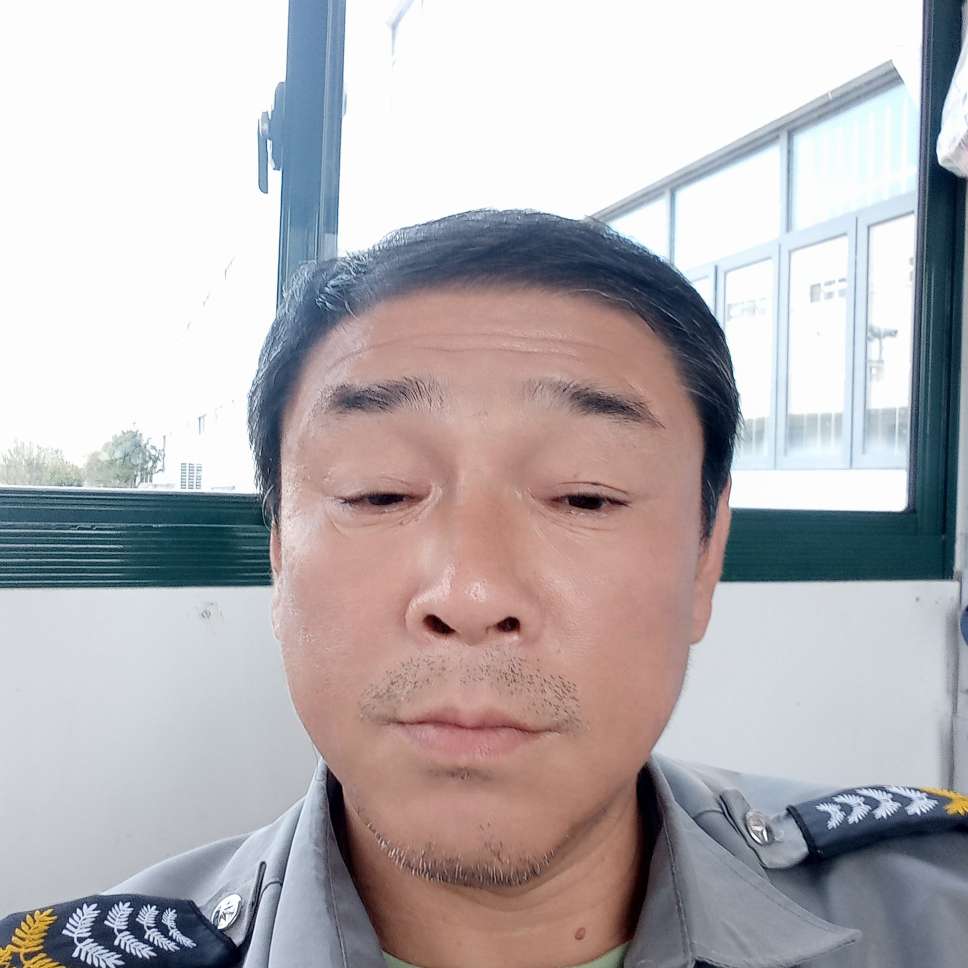 寂寞还黑夜的照片