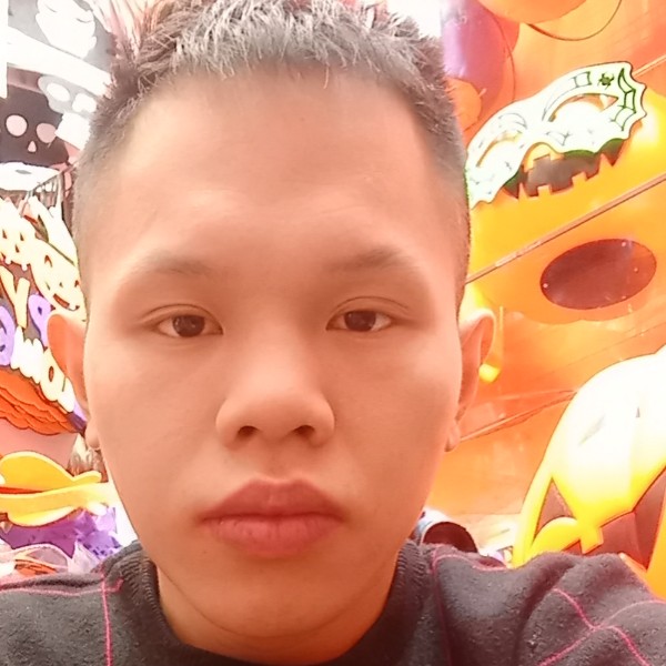 包容邂逅歌曲的照片
