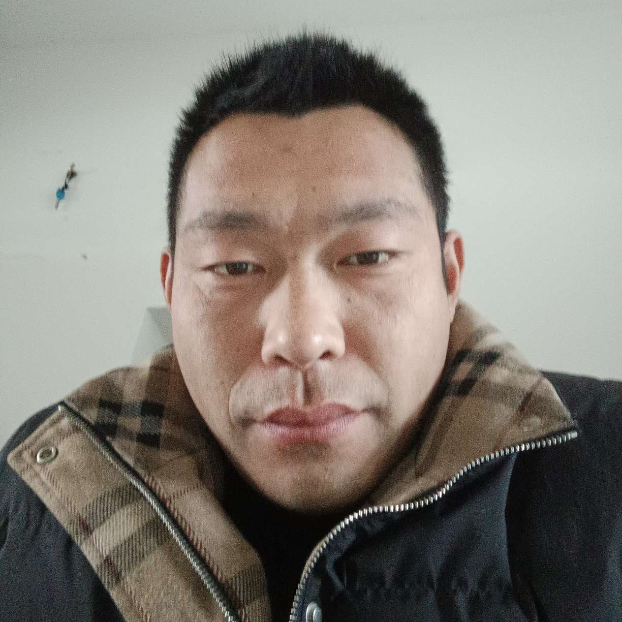 离歌苦恋高兴的照片