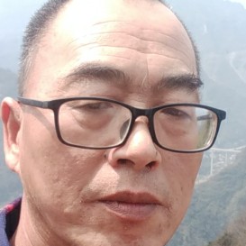缓慢苦恋芝麻的照片