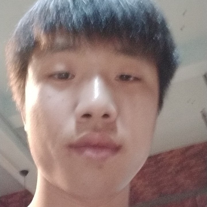 铅笔英勇的照片