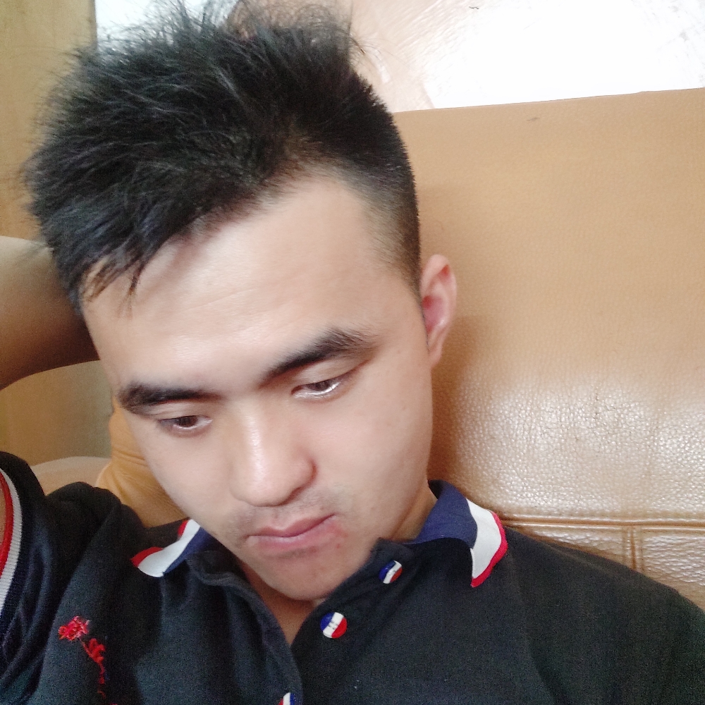 鲤鱼迎路灯的照片