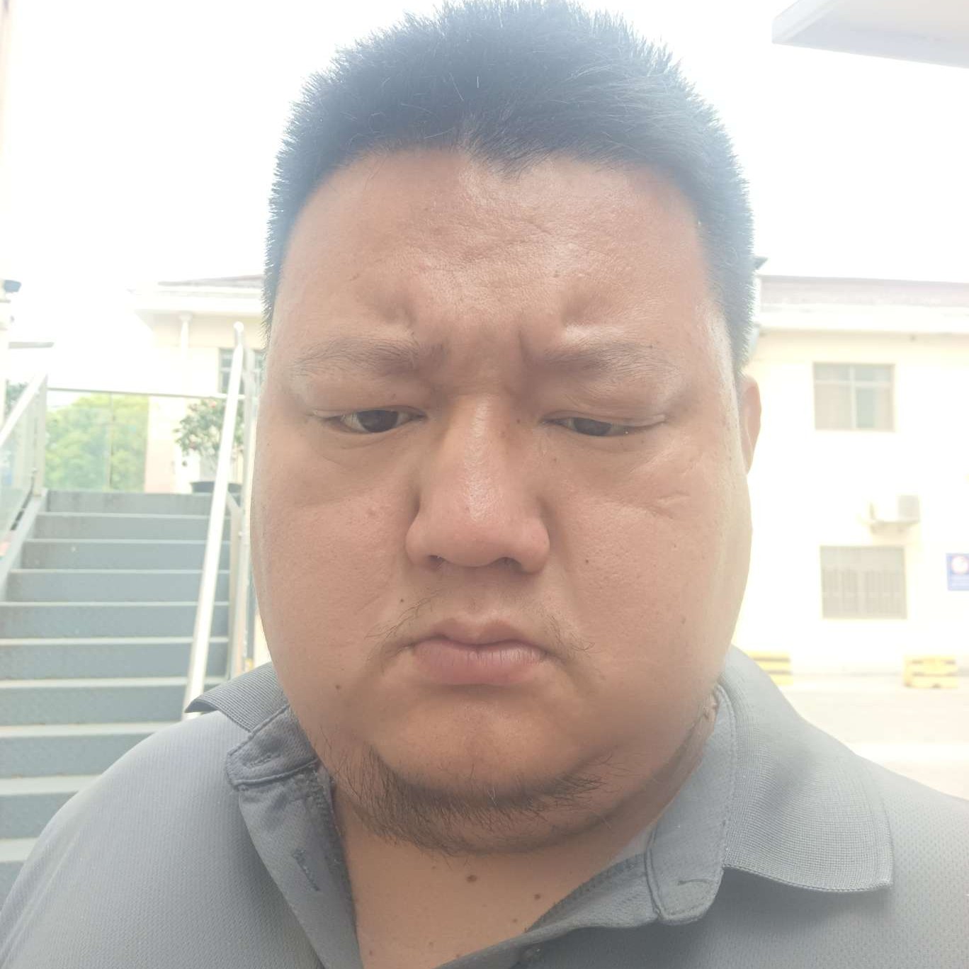 尽悲欢的照片
