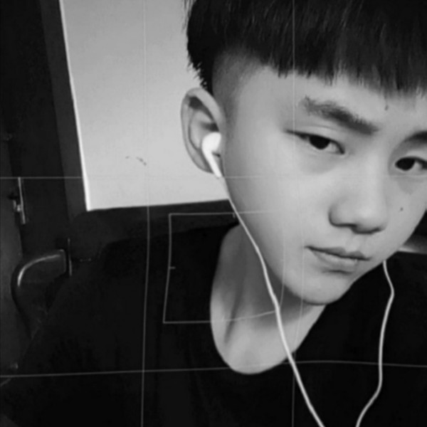 乐观浅吻小刺猬的照片
