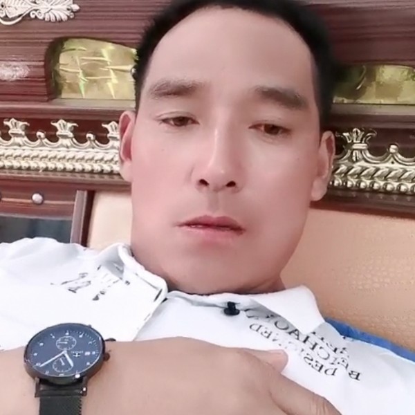 白猫娇气的照片