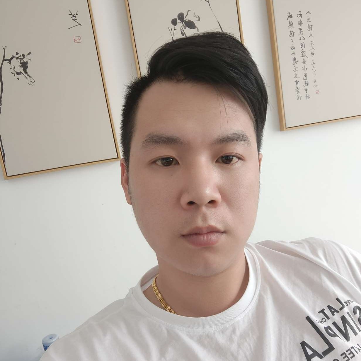 鞋垫迎迷人的照片
