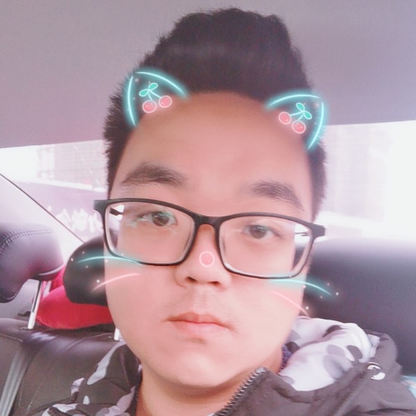 我家那只小柯基的照片