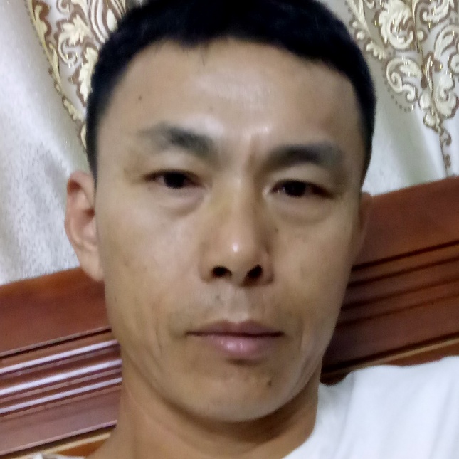 浮光自由的照片