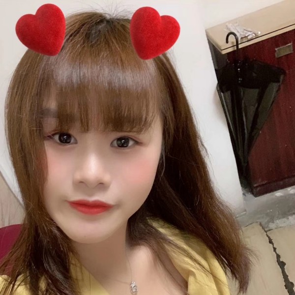 狮子。的照片