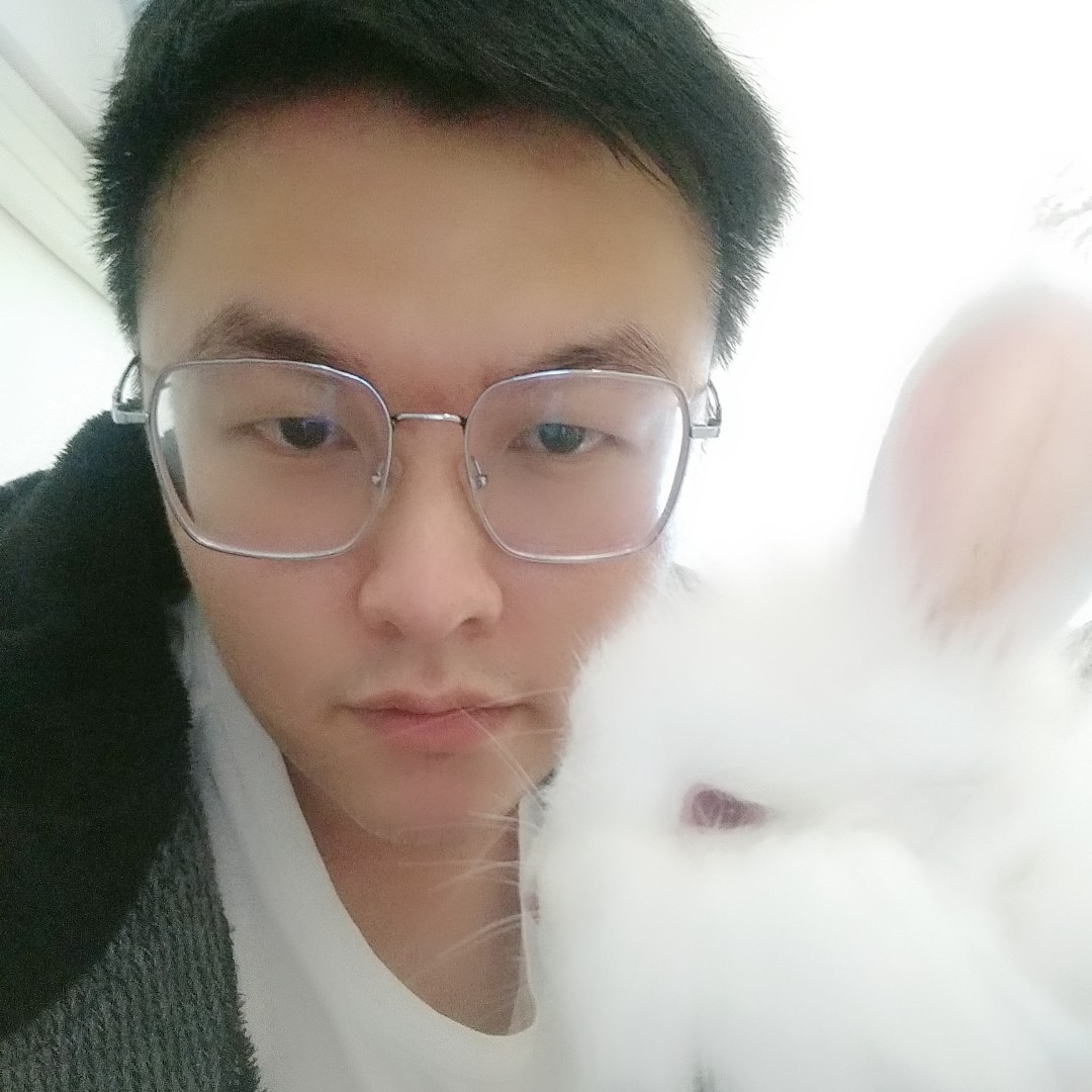 小小蚂蚁爬呀爬的照片