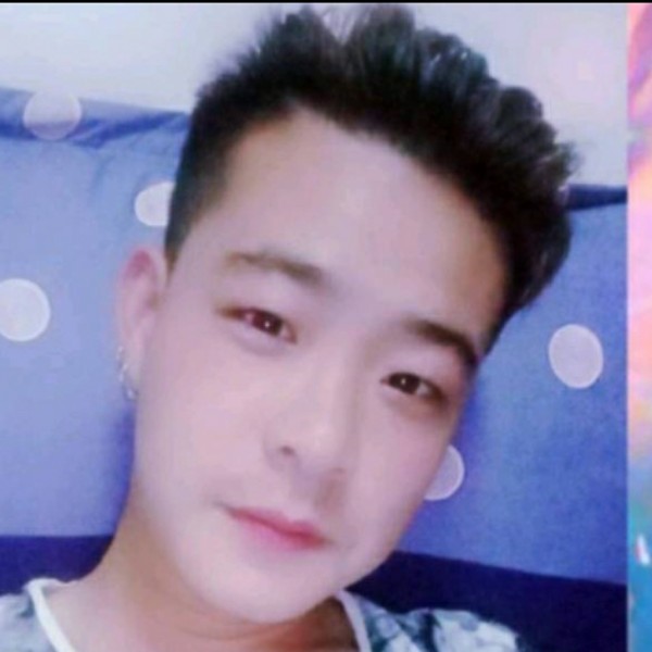 小海豚初夏的照片