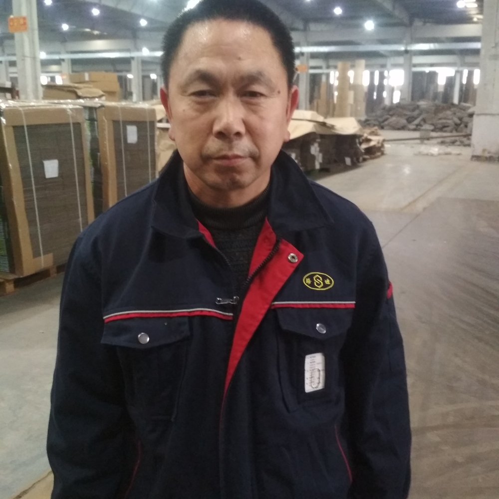 绿草光亮的照片