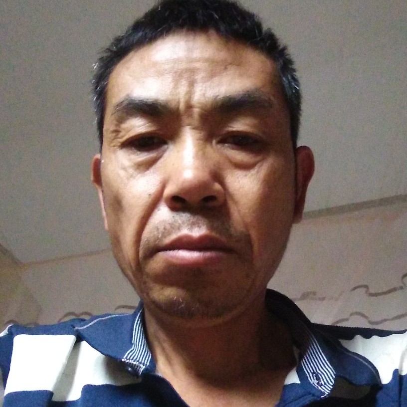 寻找真的另一半的照片