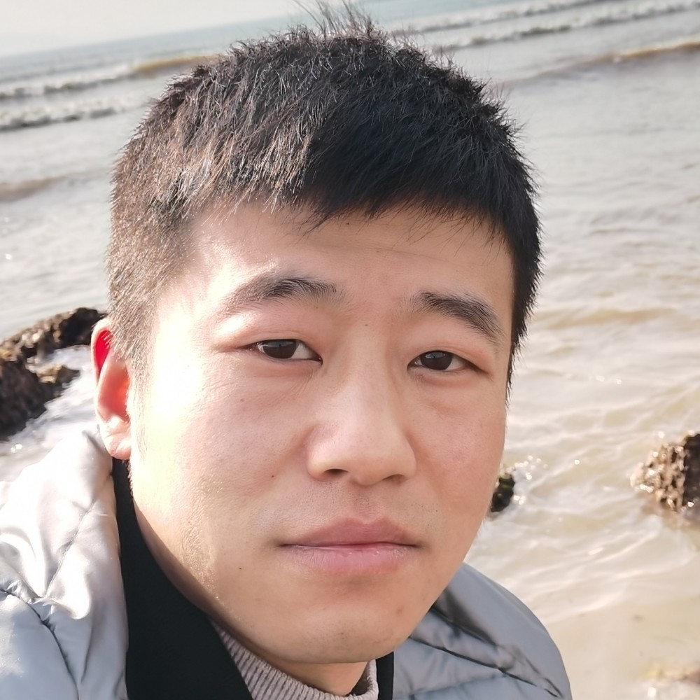 考拉呆的照片