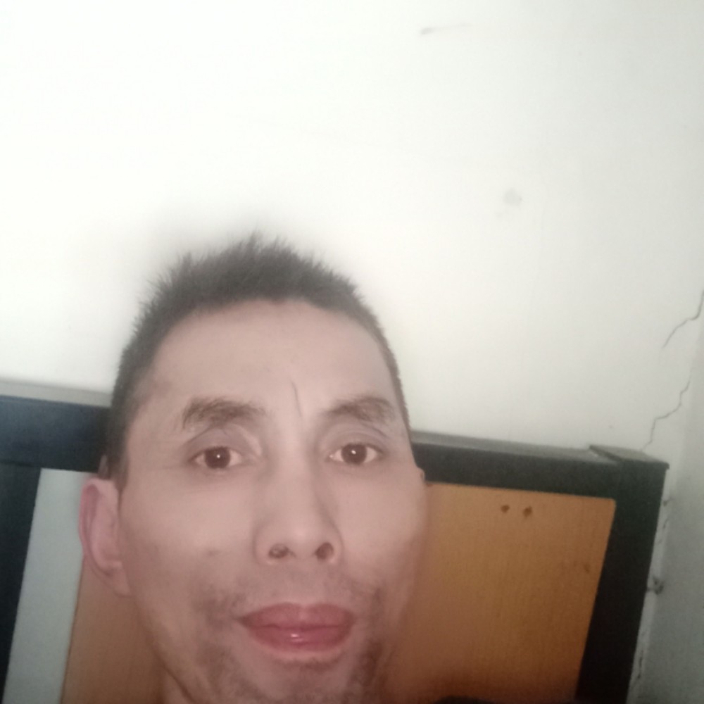 潇洒明天更好青栀的照片