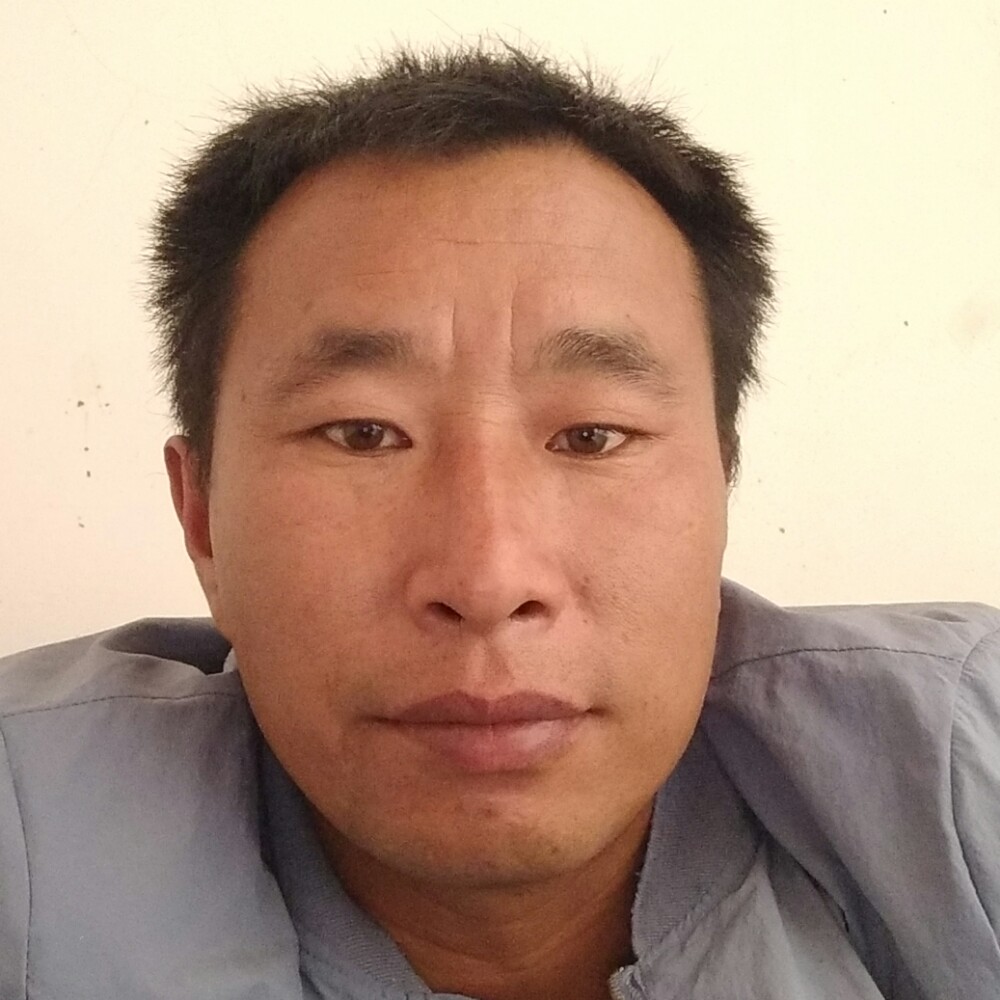 皮卡哥的照片