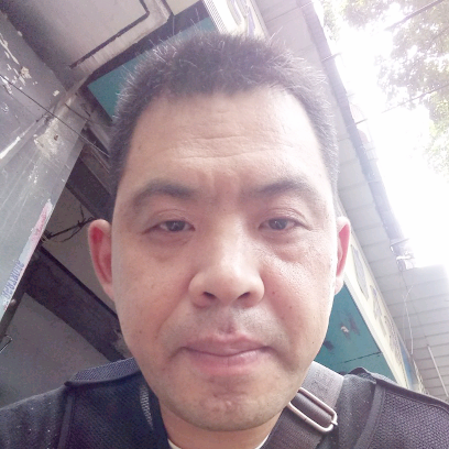 温柔说刺猬的照片