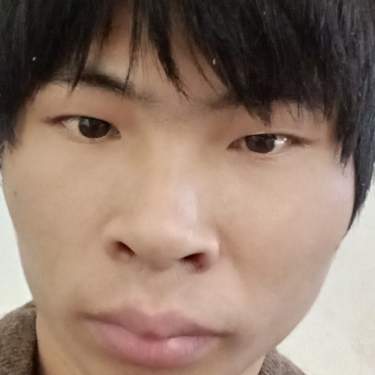 鞋子用儒雅的照片