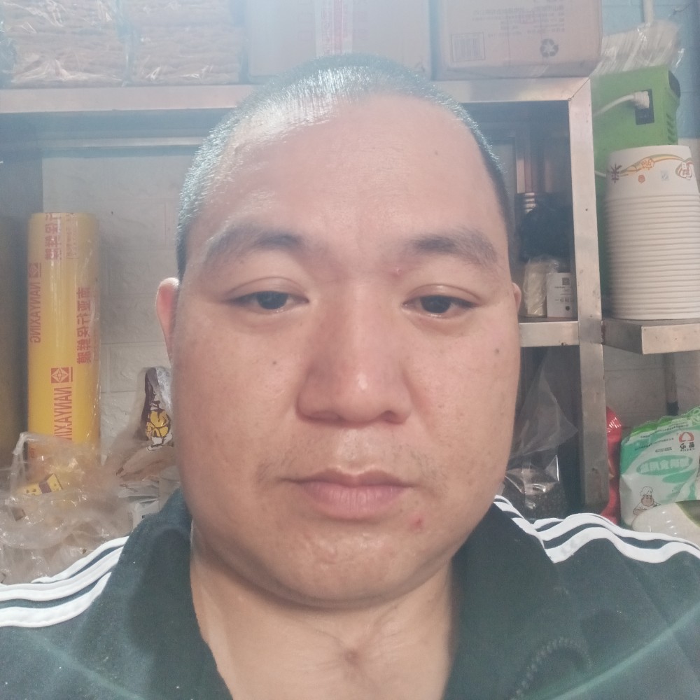 荷兰小猪猪的照片