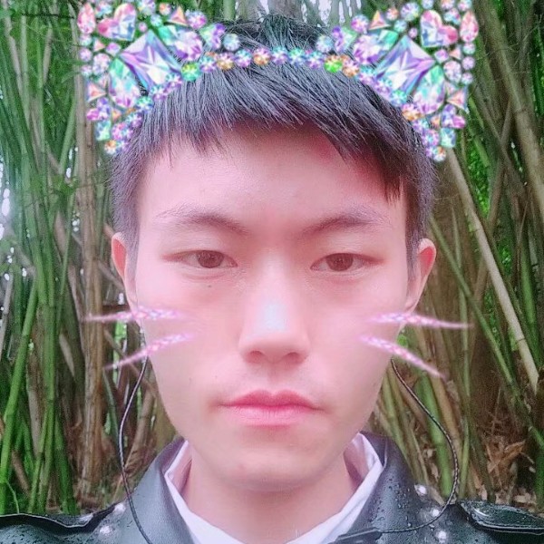 龙，龙的照片