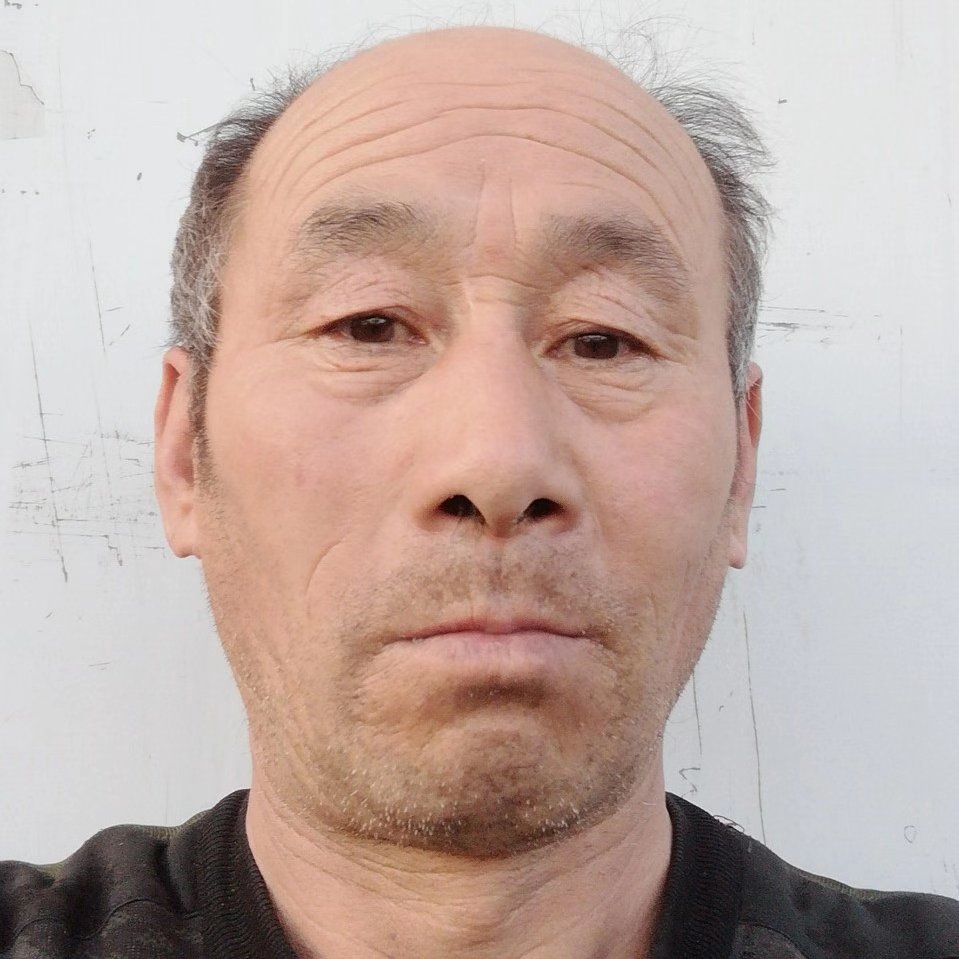 老实笑大船的照片