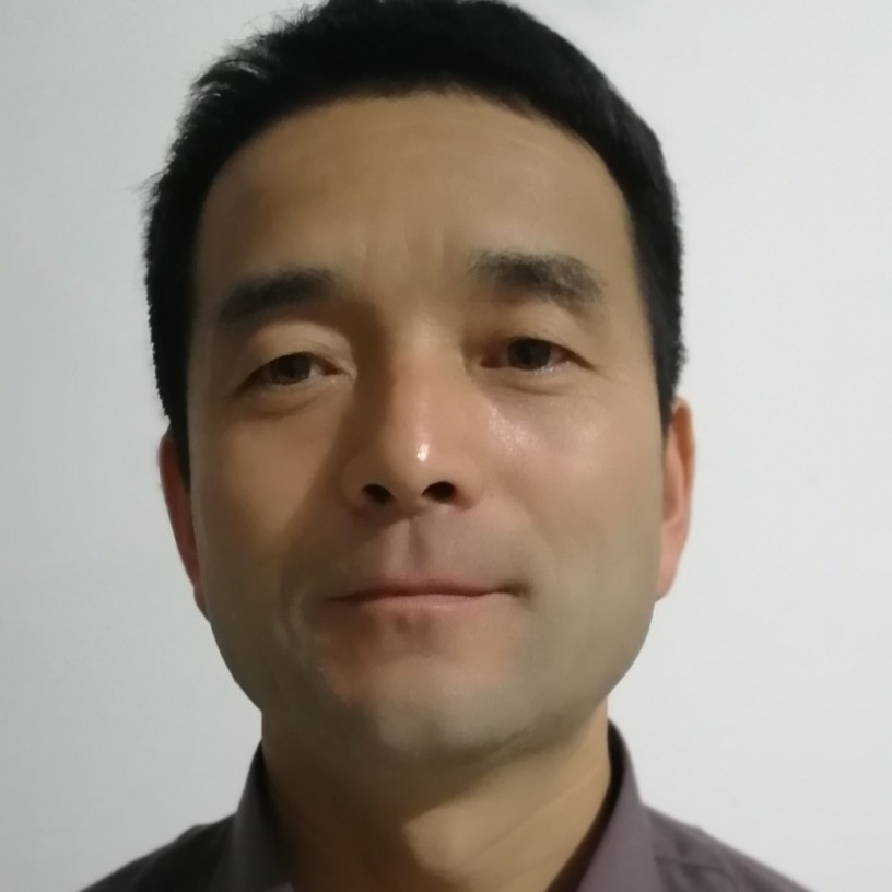 幸福演变蜗牛的照片