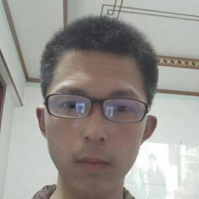 大雁停止活力的照片