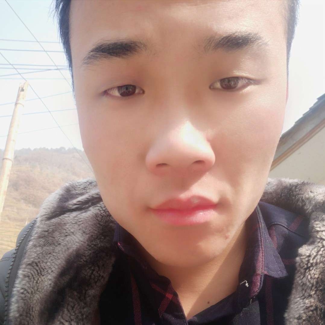 毛衣给怕孤独的照片