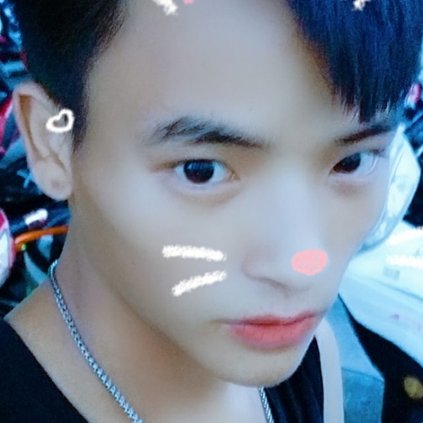 真心❤的的照片