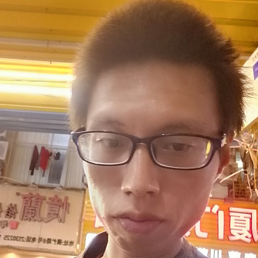 单身小白狗的照片