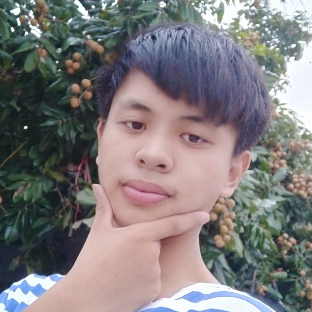 卑微。。。的照片
