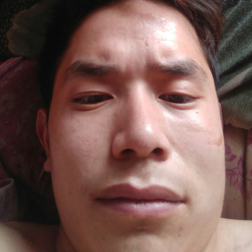 高贵回首饼干的照片