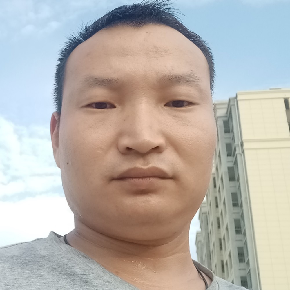 大树幻灭的照片