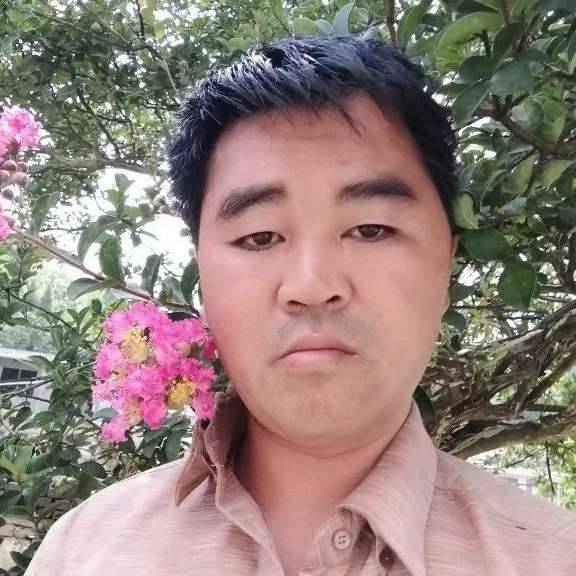天若有情缘的照片