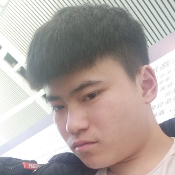翩飞紫菜的照片