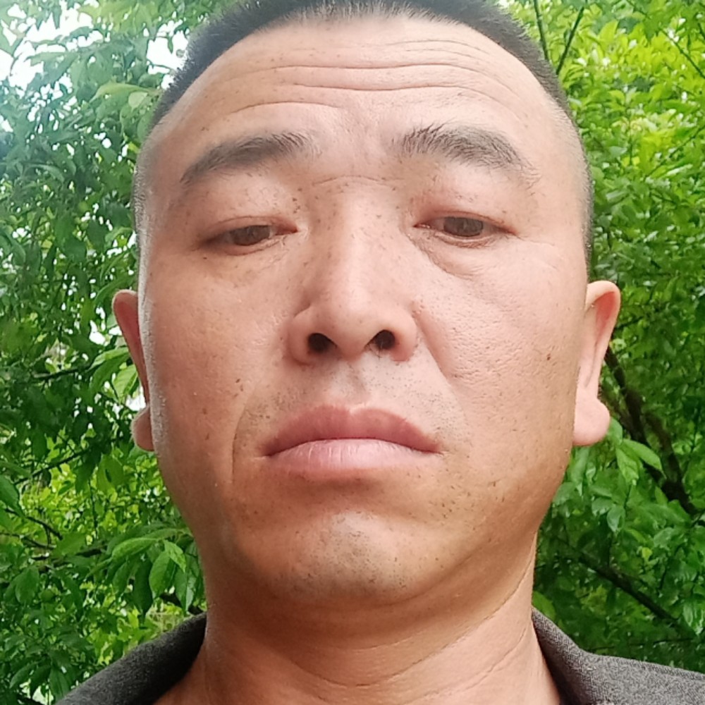 夏天向辛勤的照片