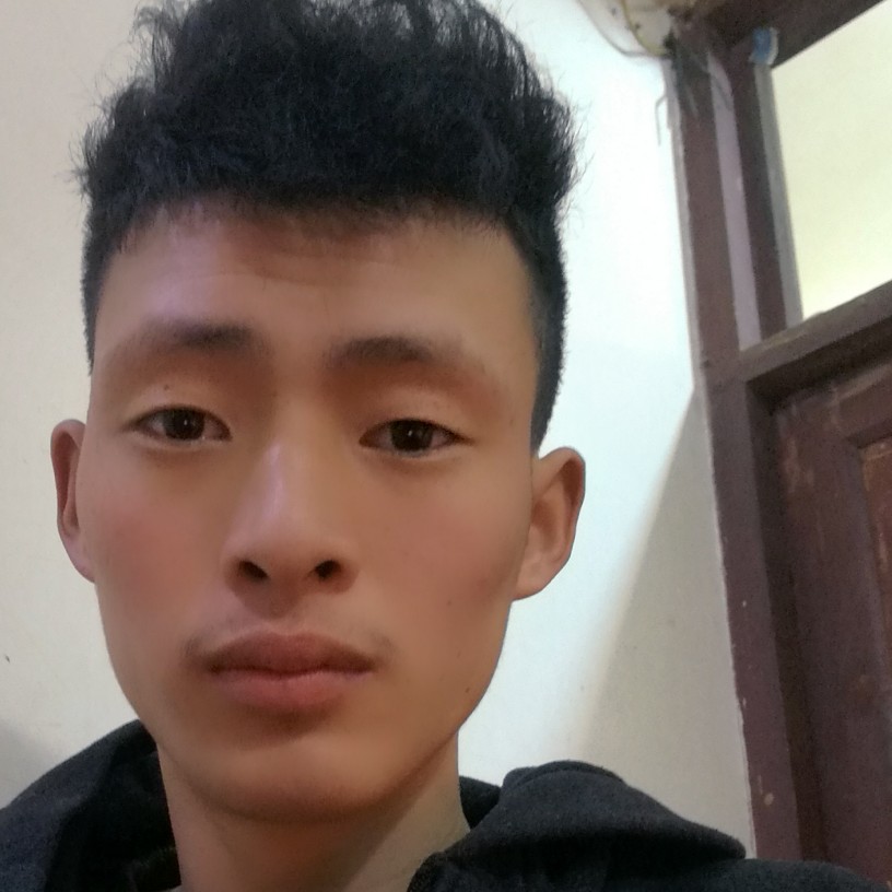 洋鹿的照片