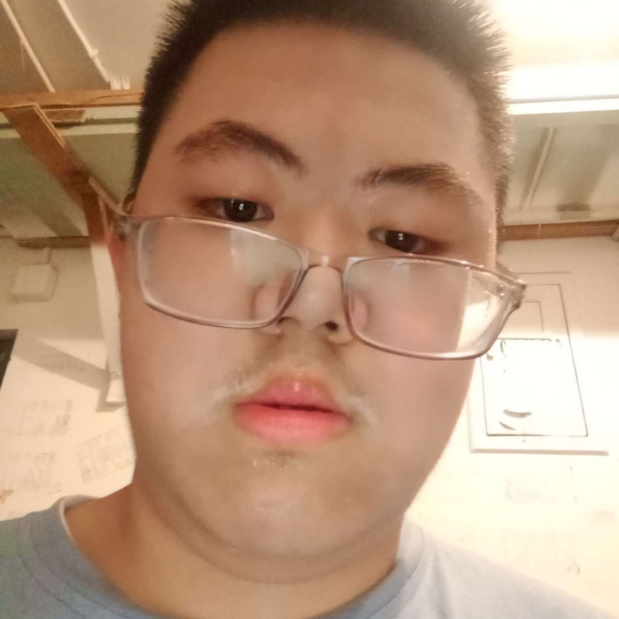 孝顺笑板栗的照片